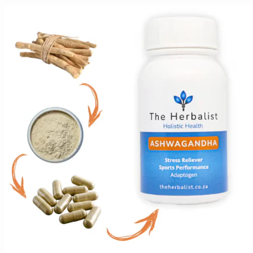 Ashwagandha-Nature’s Formula for Muscle Growth and Stress Balance